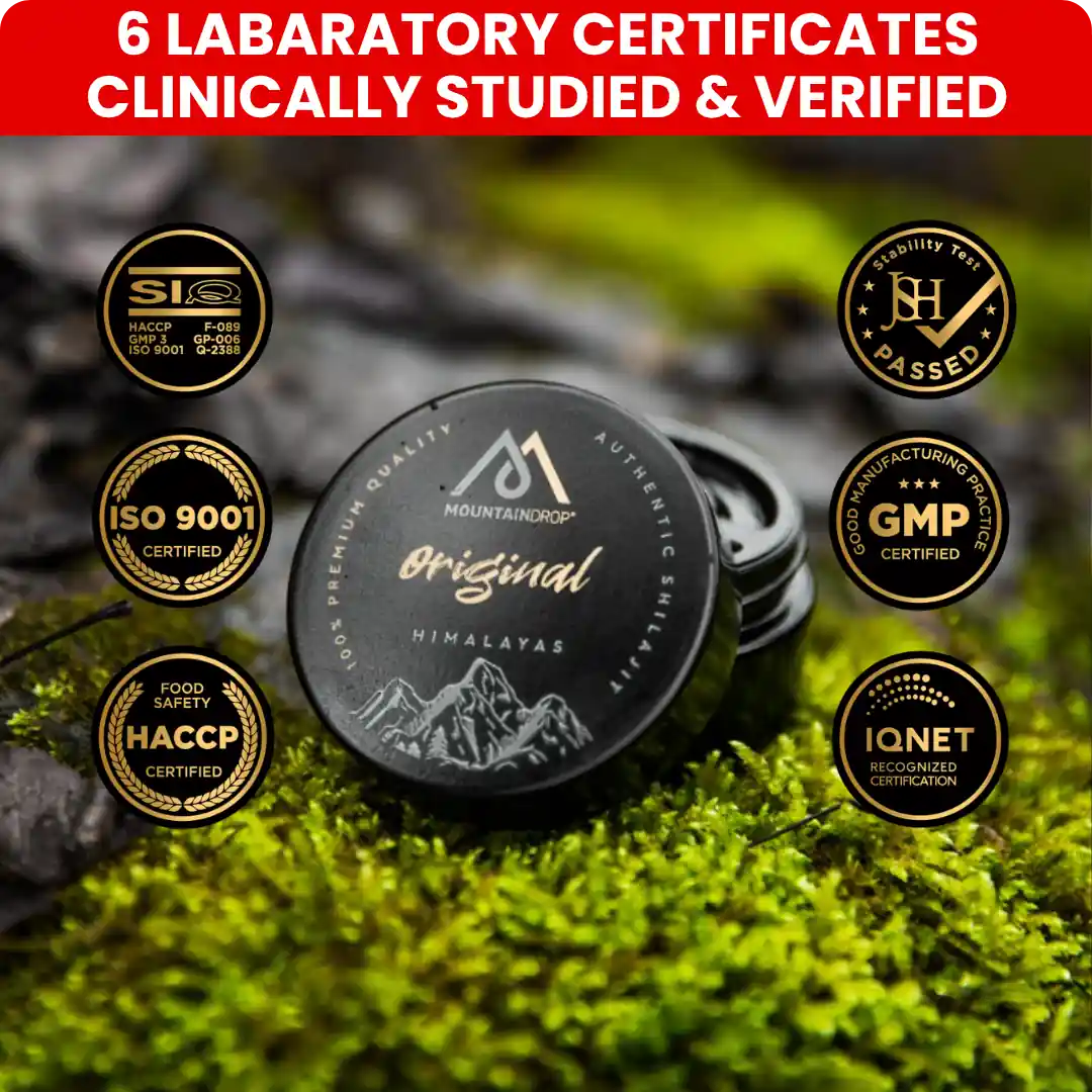 Himalayan Shilajit 45g (Buy 1 get 1 free)