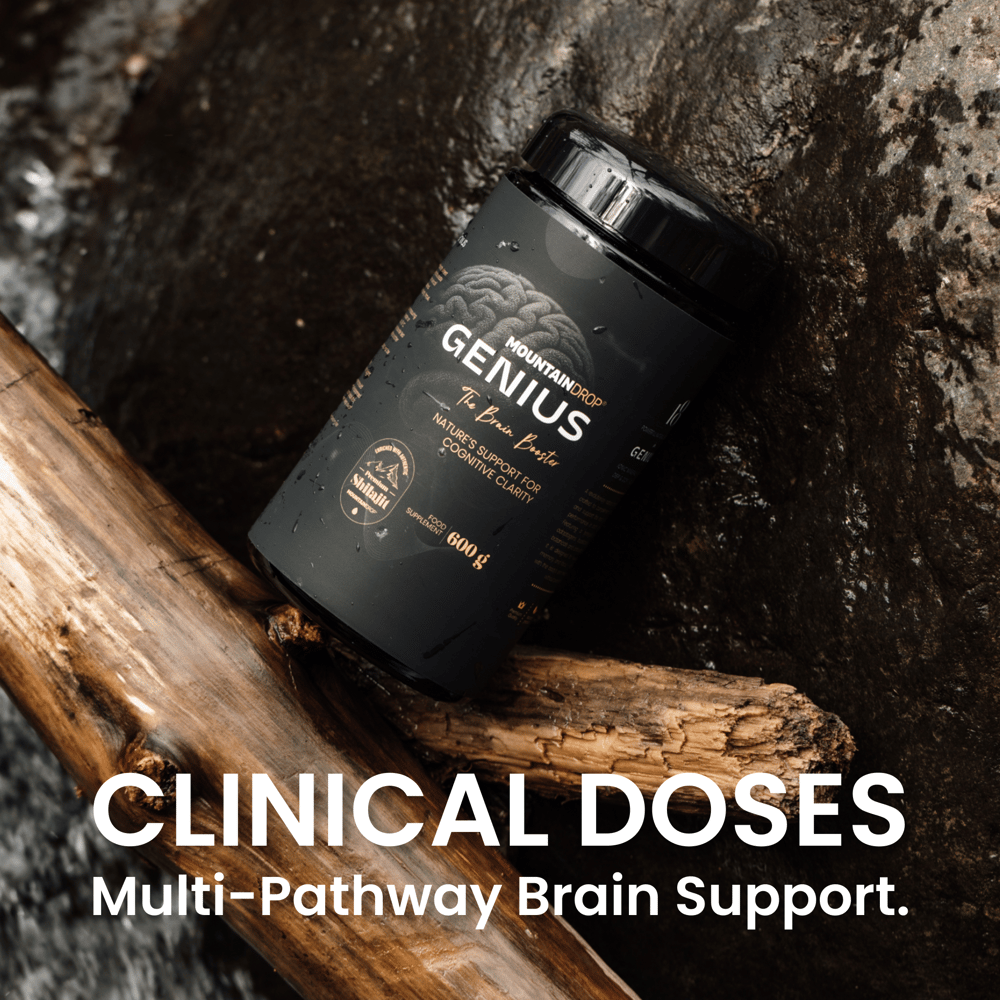 Mountaindrop® Genius Brain Booster 600g