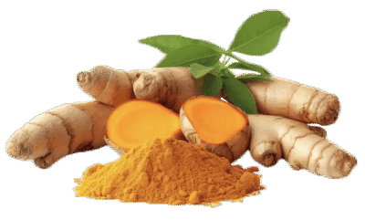 turmeric root