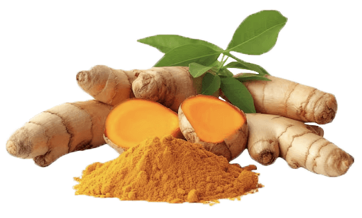 turmeric root