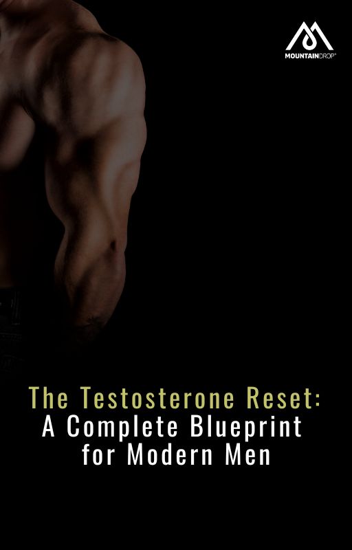Testosteron e-bok